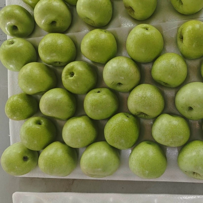100 Fresh Apples Green high quality