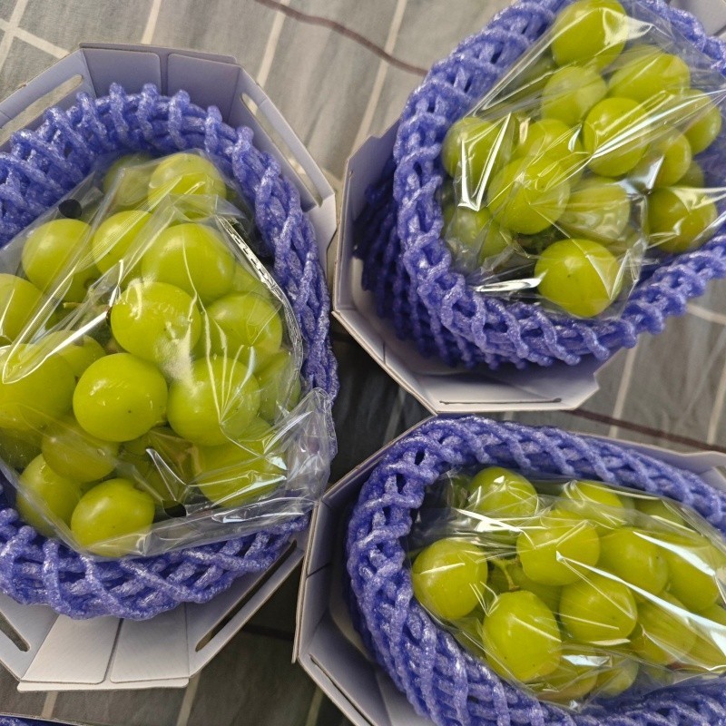 24mm+ Muscat Grape best