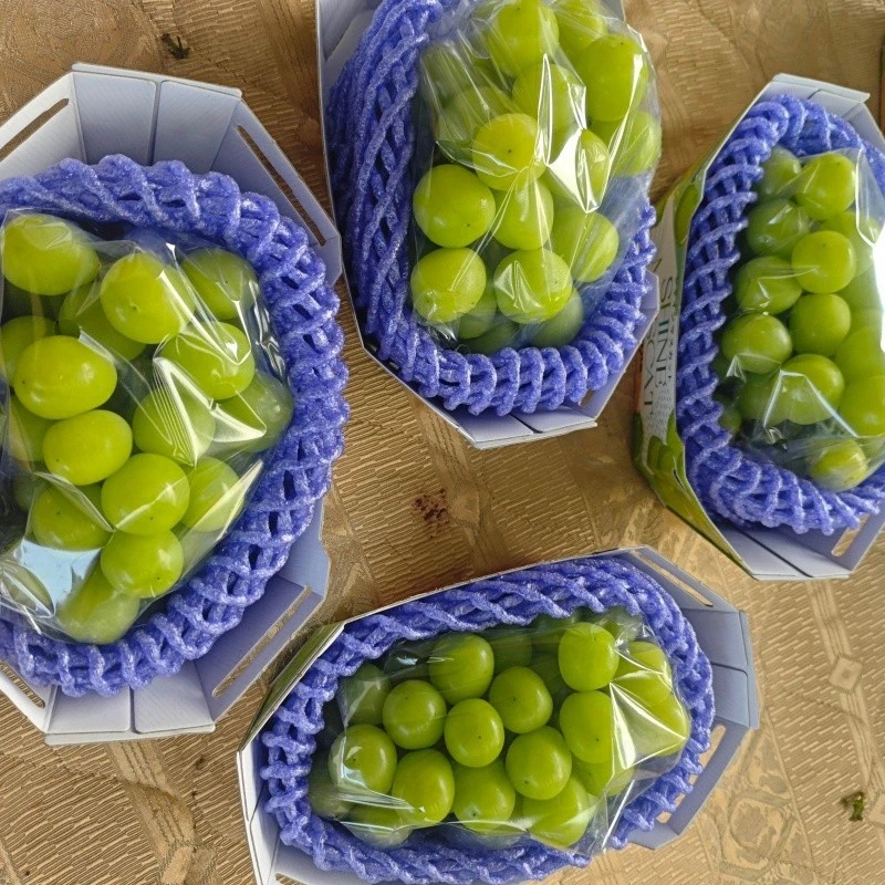 shine muscat grape high quality