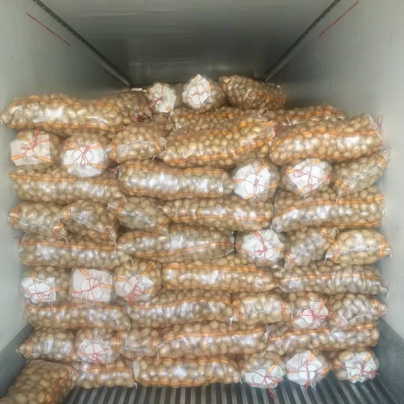 80g Mesh Bag Potato factory