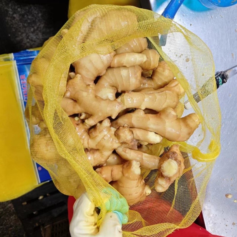 Organic Dry Ginger best
